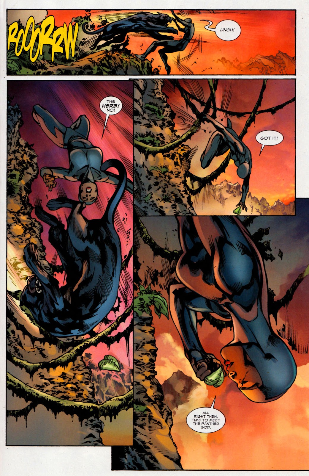 Black Panther (2009) issue 3 - Page 29