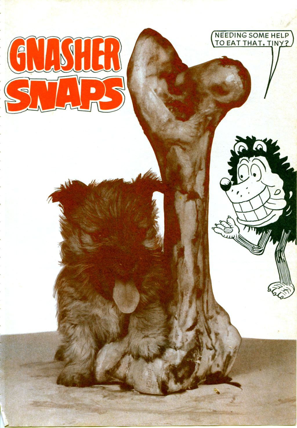 Read online The Beano Book (Annual) comic -  Issue #1985 - 43