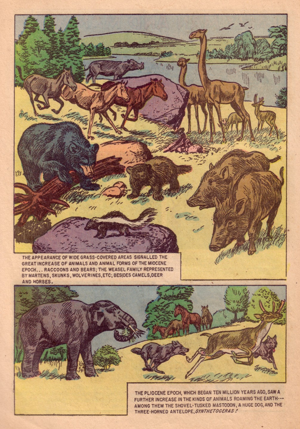 Read online Four Color Comics comic -  Issue #713 - 20