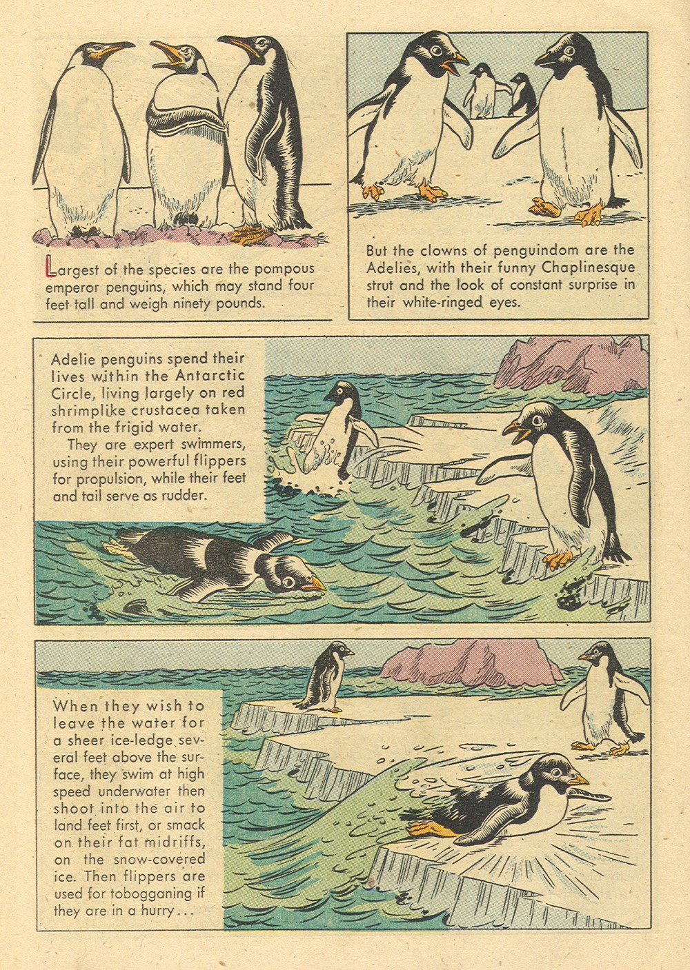 Read online Four Color Comics comic -  Issue #700 - 14