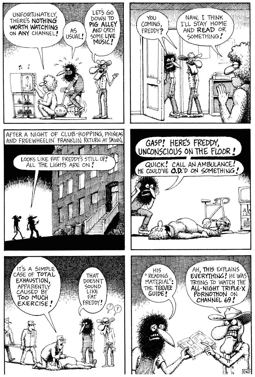 Read online The Fabulous Furry Freak Brothers comic -  Issue #12 - 27