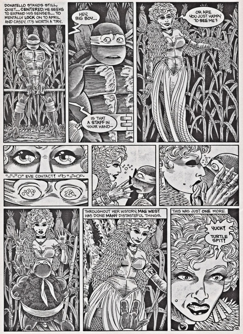 Read online Teenage Mutant Ninja Turtles (1984) comic -  Issue #42 - 11