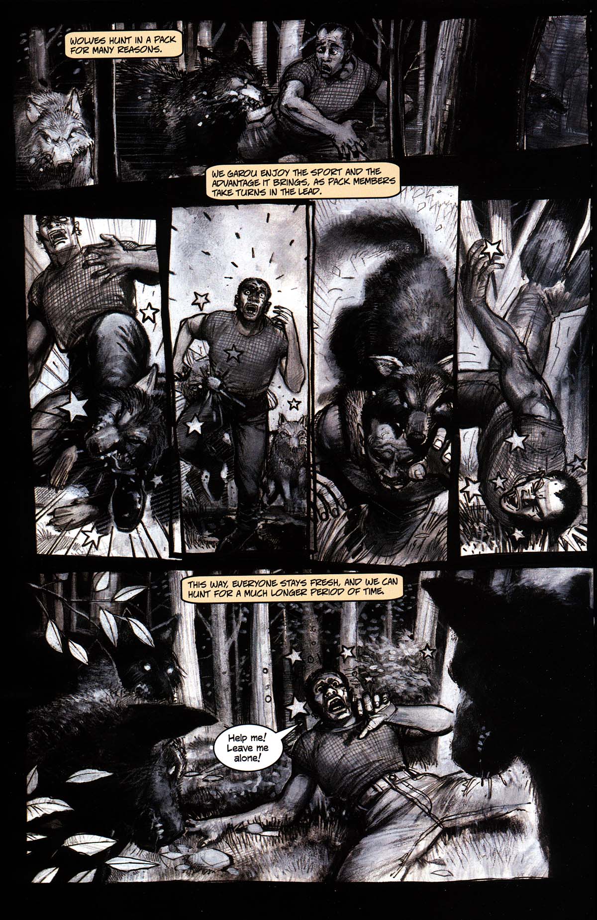 Read online Werewolf the Apocalypse comic -  Issue # Black Furies - 22