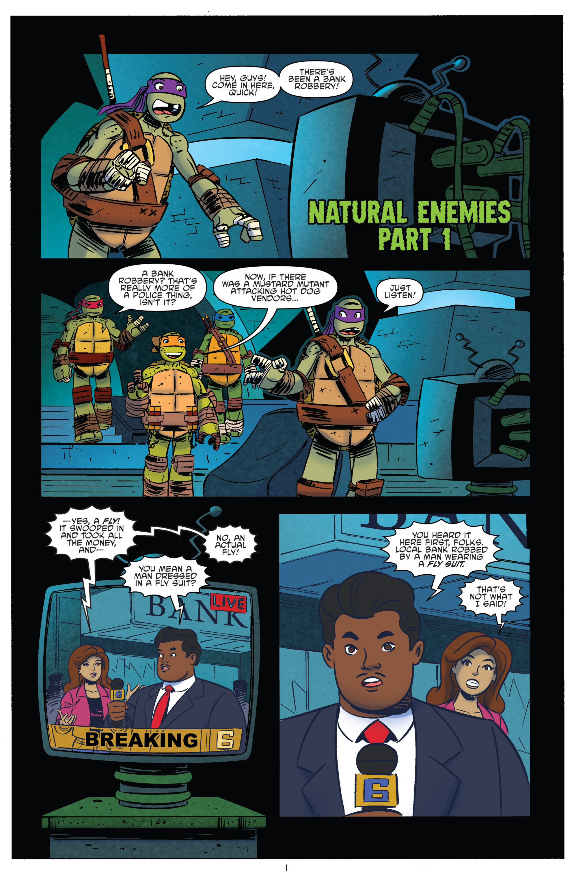 Read online Teenage Mutant Ninja Turtles New Animated Adventures comic -  Issue #21 - 3