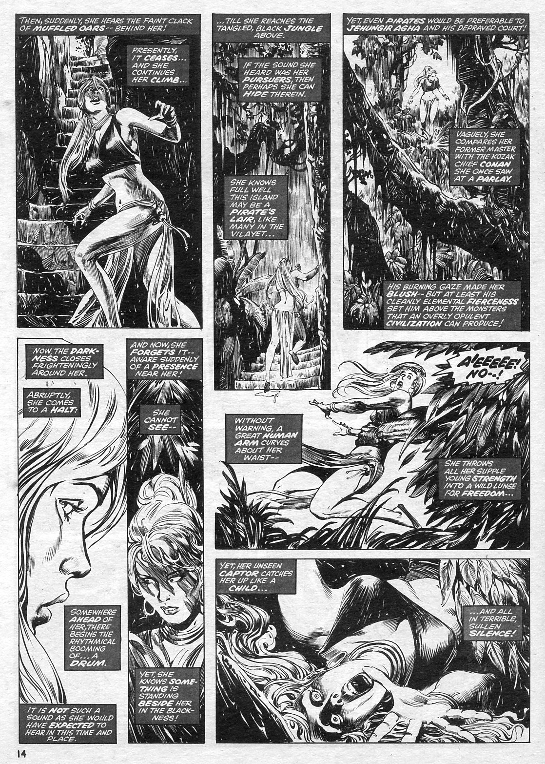The Savage Sword Of Conan issue 15 - Page 14