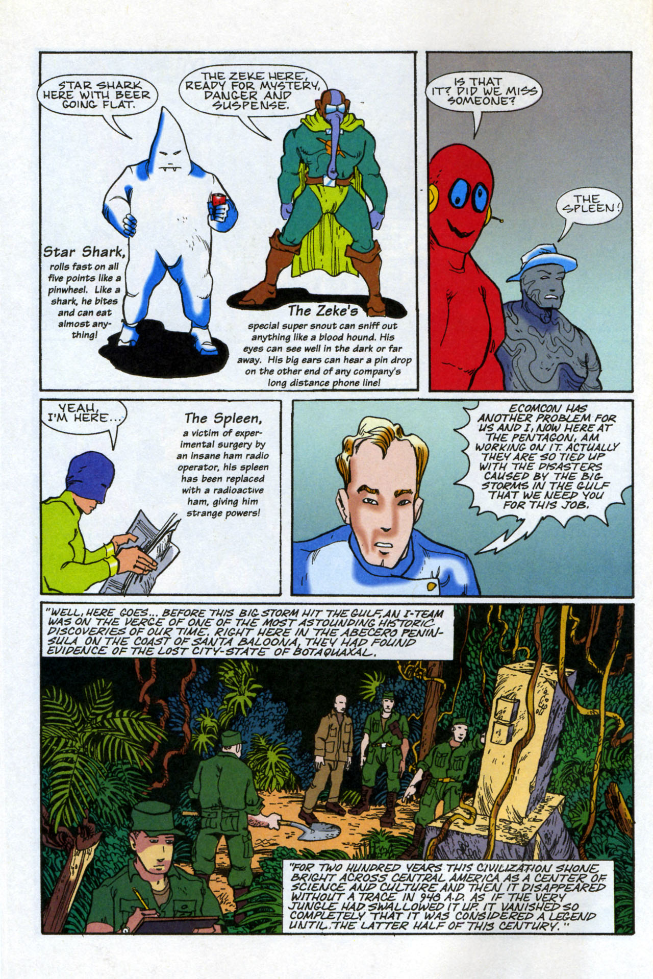 Teenage Mutant Ninja Turtles/Flaming Carrot Crossover Issue #1 #1 - English 13