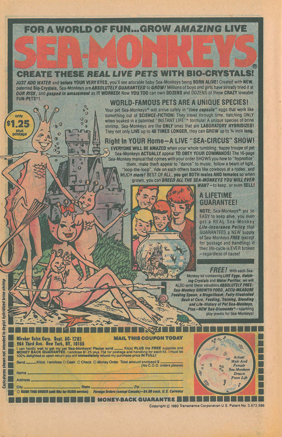 Read online Archie Giant Series Magazine comic -  Issue #514 - 34