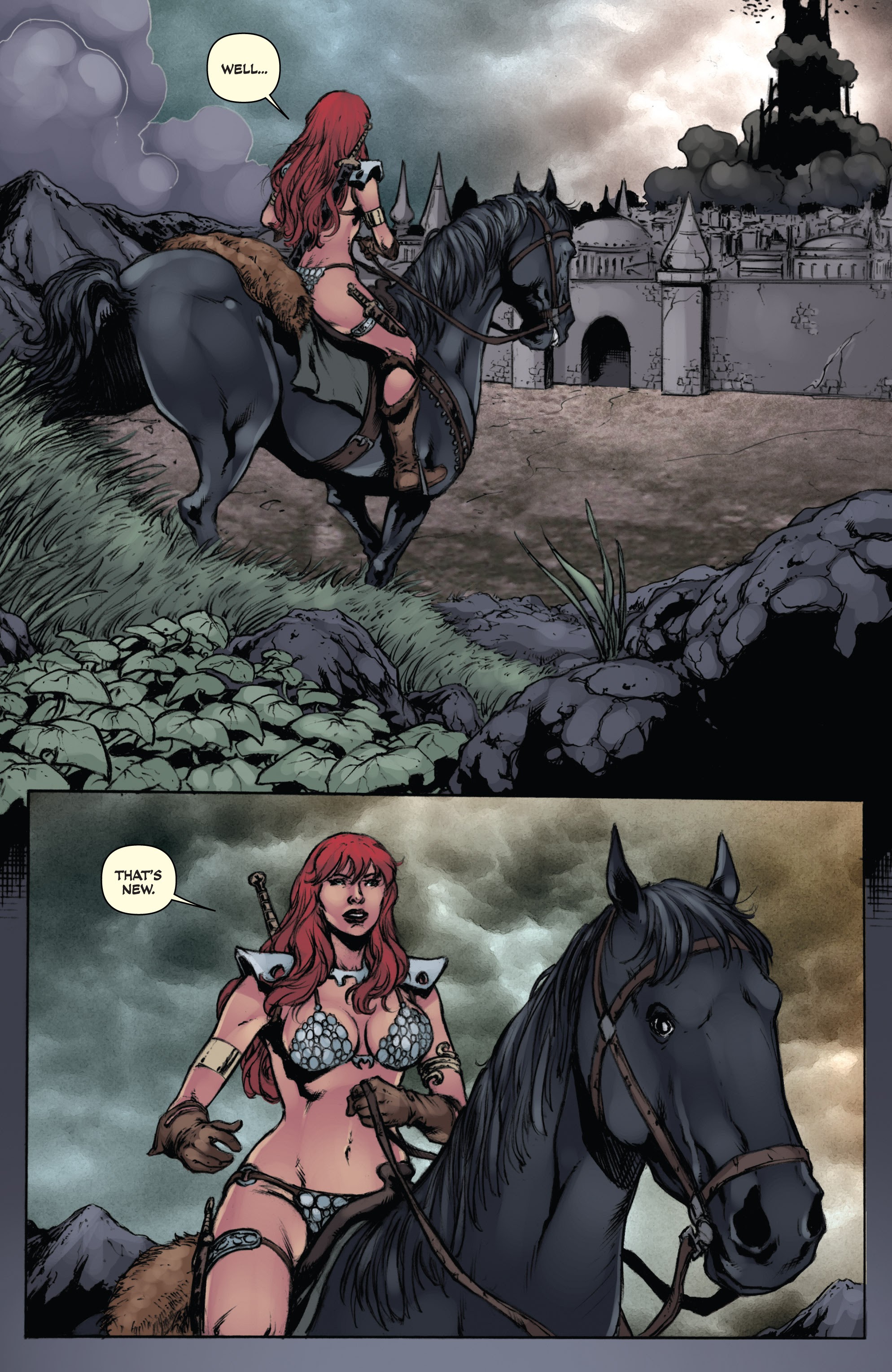 Read online Red Sonja: The Black Tower comic -  Issue #4 - 21