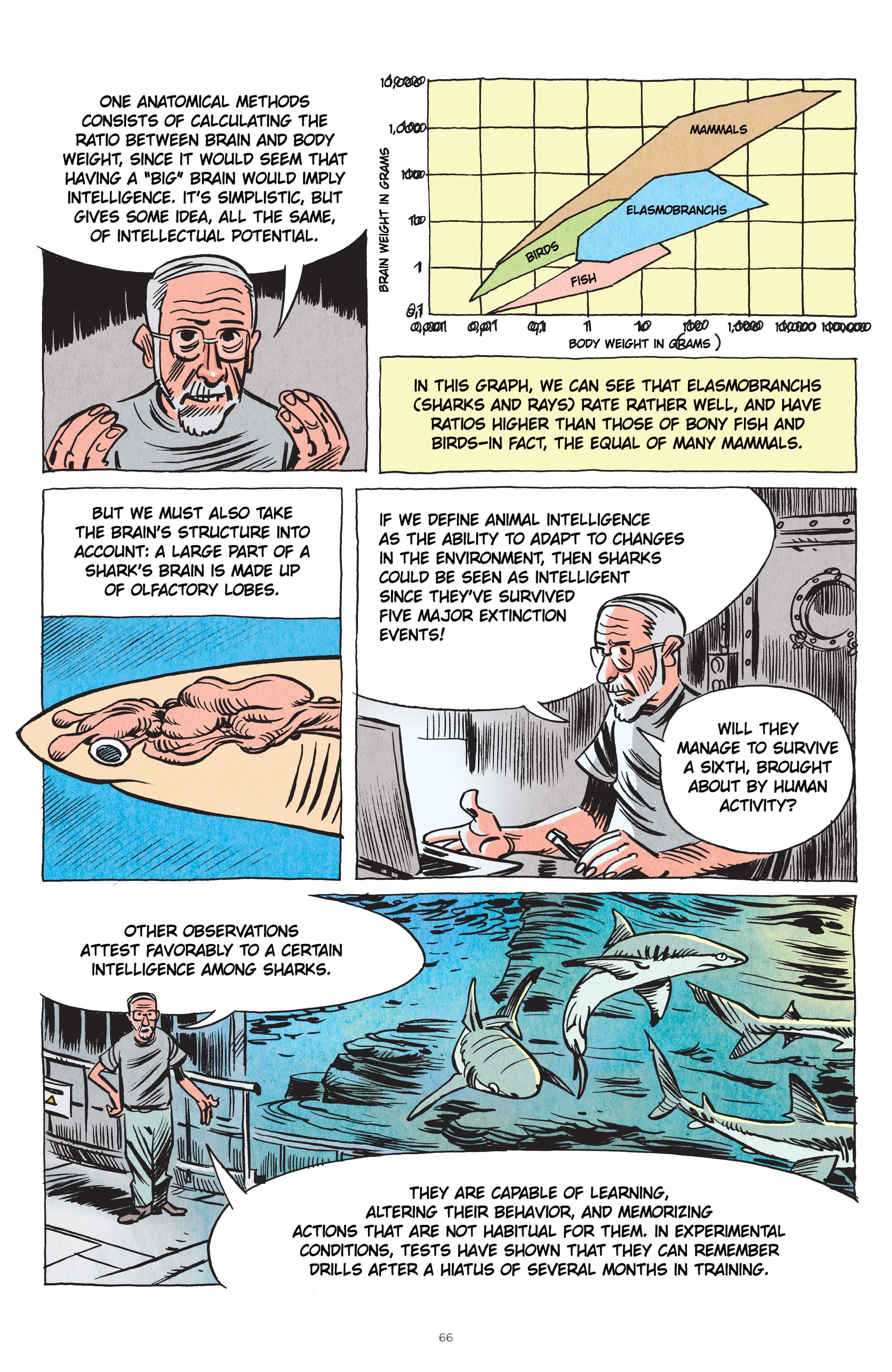 Read online Little Book of Knowledge: Sharks comic -  Issue # TPB - 66