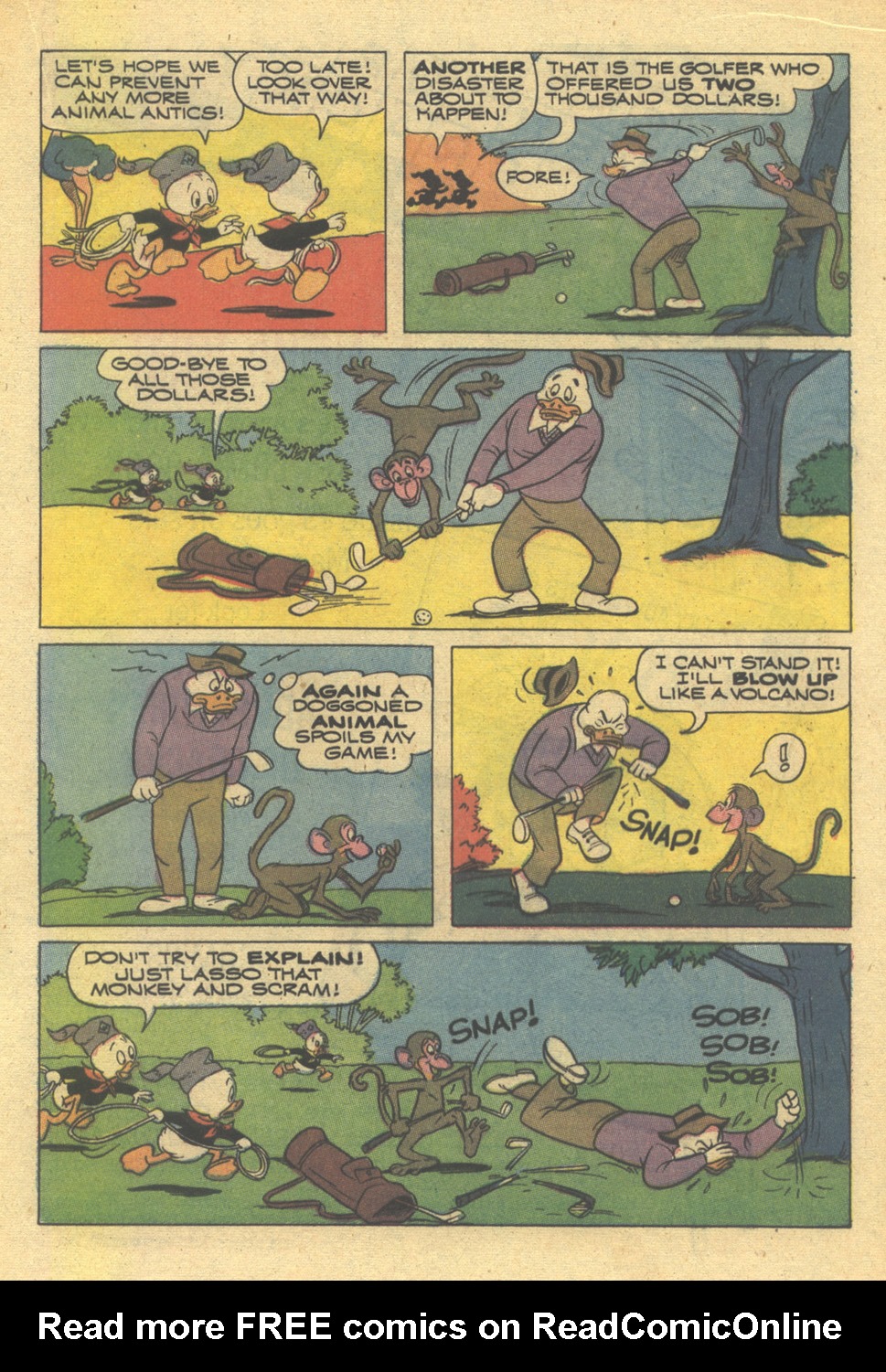 Read online Huey, Dewey, and Louie Junior Woodchucks comic -  Issue #20 - 17
