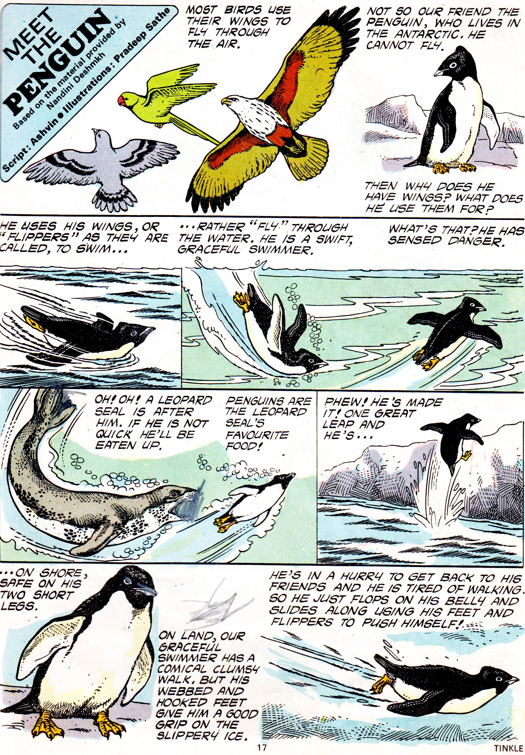 Read online Tinkle comic -  Issue #11 - 19