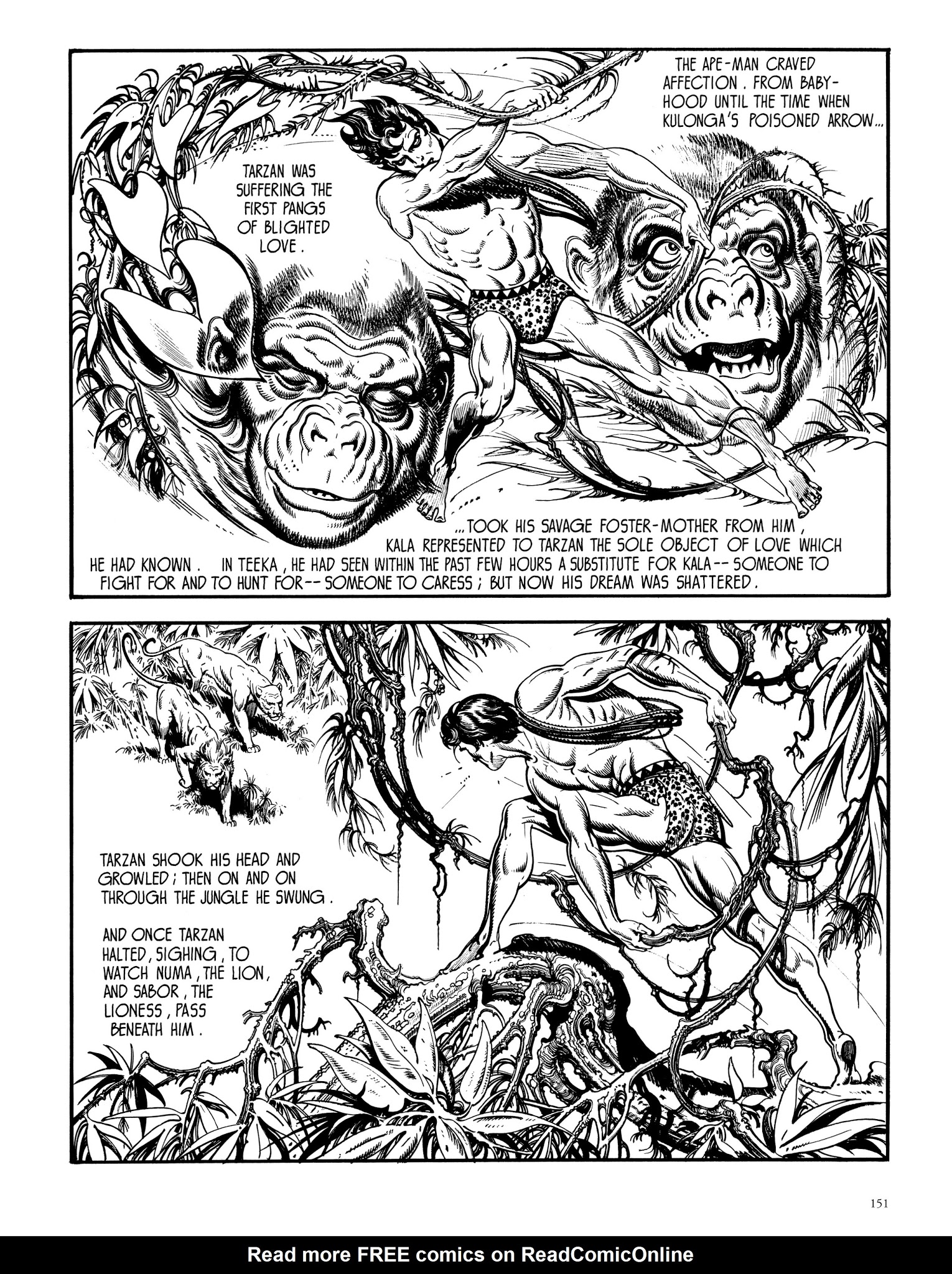 Read online Edgar Rice Burroughs' Tarzan: Burne Hogarth's Lord of the Jungle comic -  Issue # TPB - 150