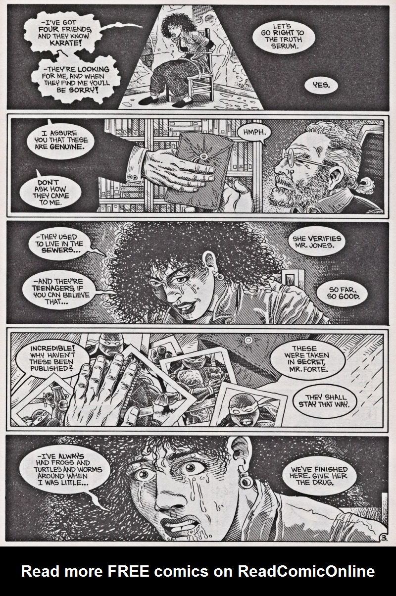 Read online Teenage Mutant Ninja Turtles (1984) comic -  Issue #42 - 4