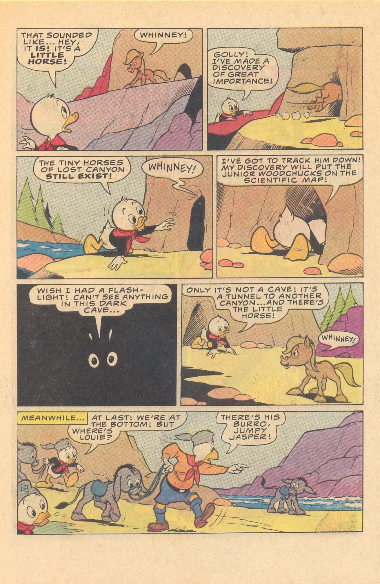 Read online Huey, Dewey, and Louie Junior Woodchucks comic -  Issue #81 - 7