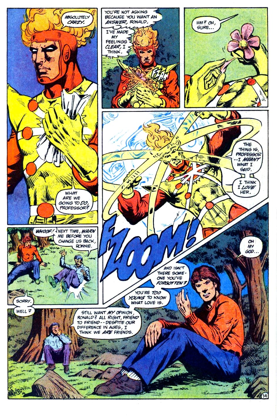 The Fury of Firestorm Issue #20 #24 - English 15