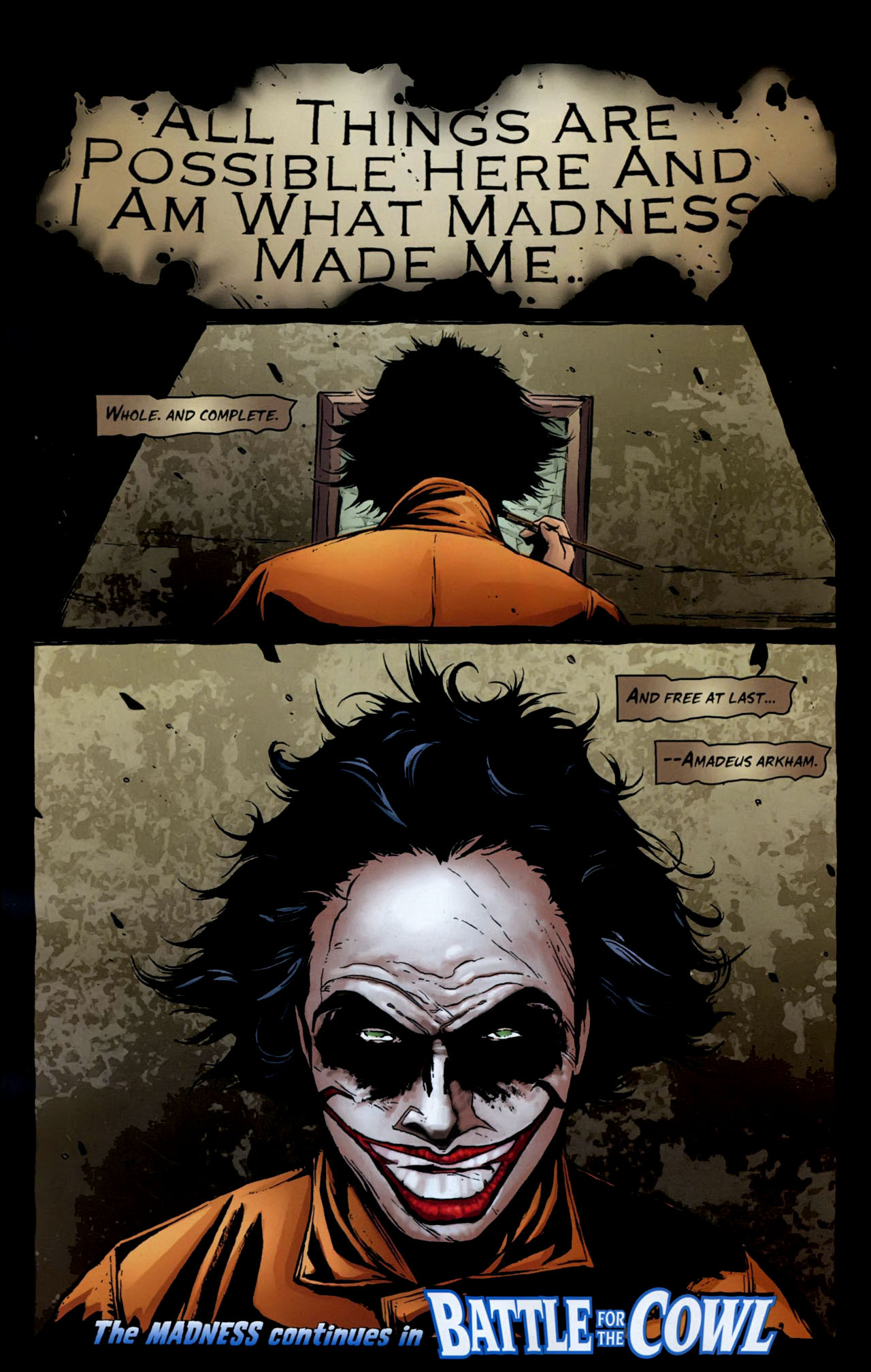 Read online Batman: Battle for the Cowl: Arkham Asylum comic -  Issue # Full - 23