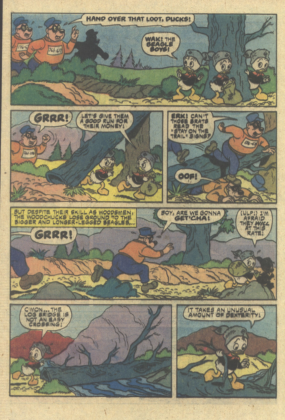 Read online Huey, Dewey, and Louie Junior Woodchucks comic -  Issue #58 - 28