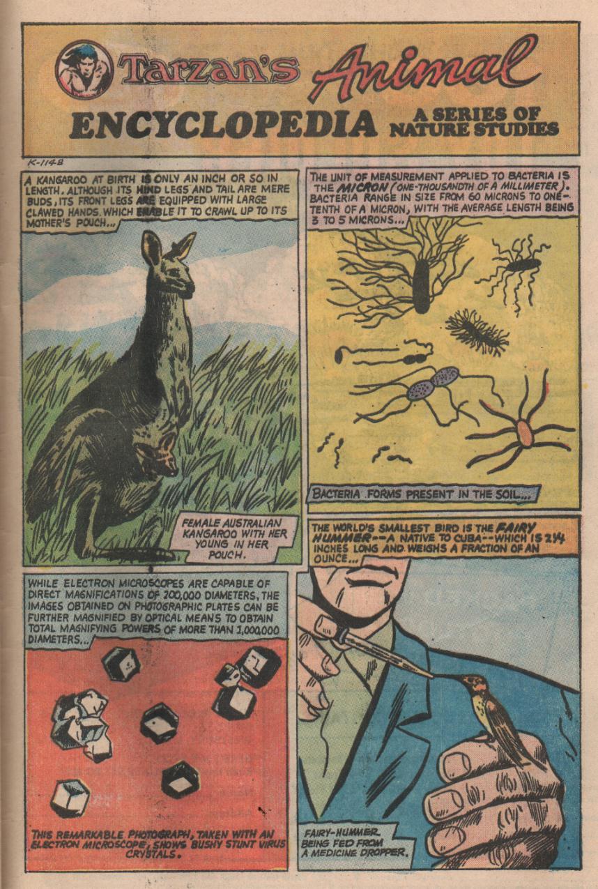 Read online Tarzan (1972) comic -  Issue #225 - 22