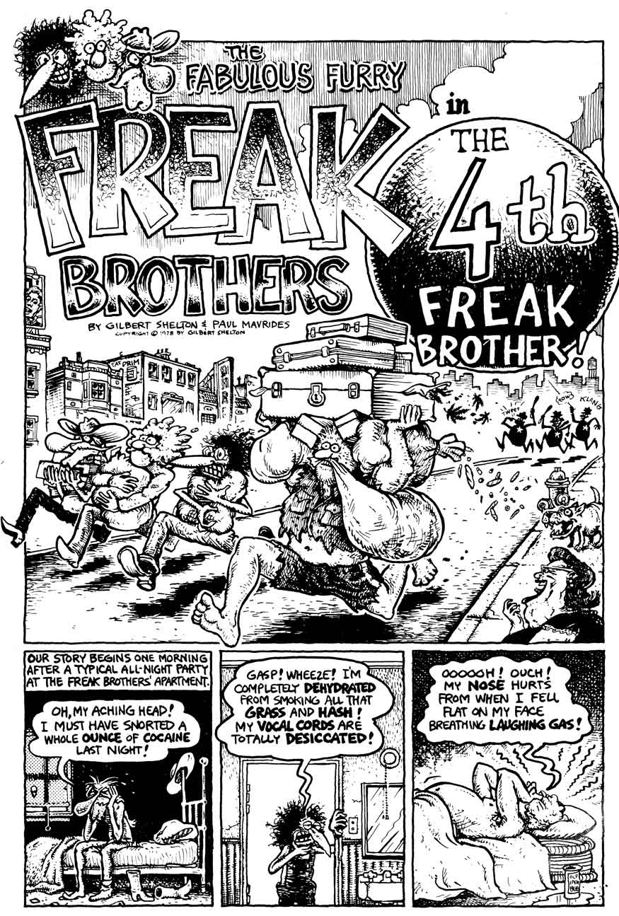 Read online The Fabulous Furry Freak Brothers comic -  Issue #6 - 27