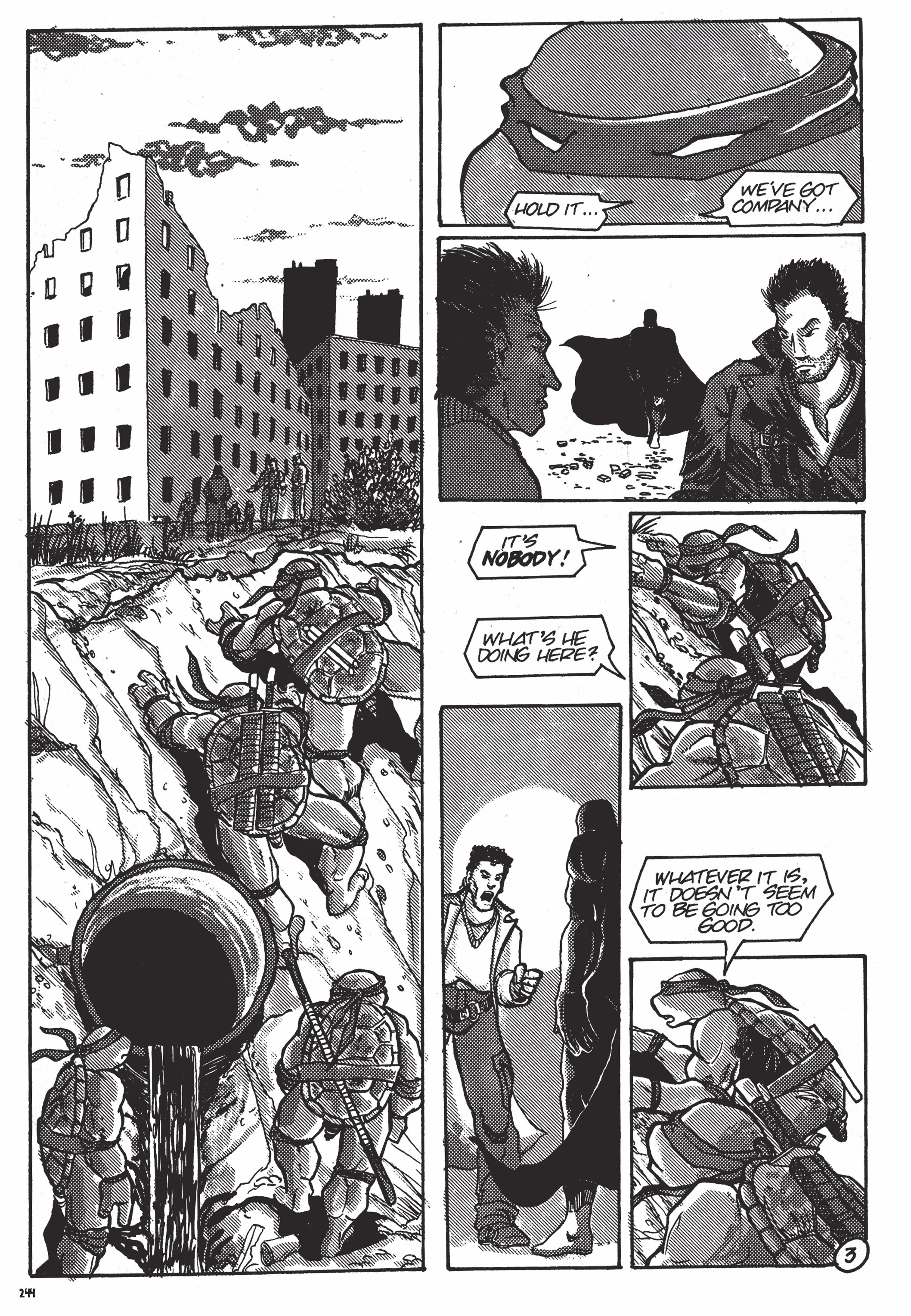 Read online Teenage Mutant Ninja Turtles: The Ultimate Collection comic -  Issue # TPB 6 (Part 3) - 44