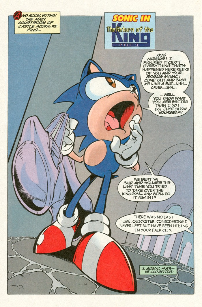 Read online Sonic Super Special comic -  Issue #4 - return of the king - 21