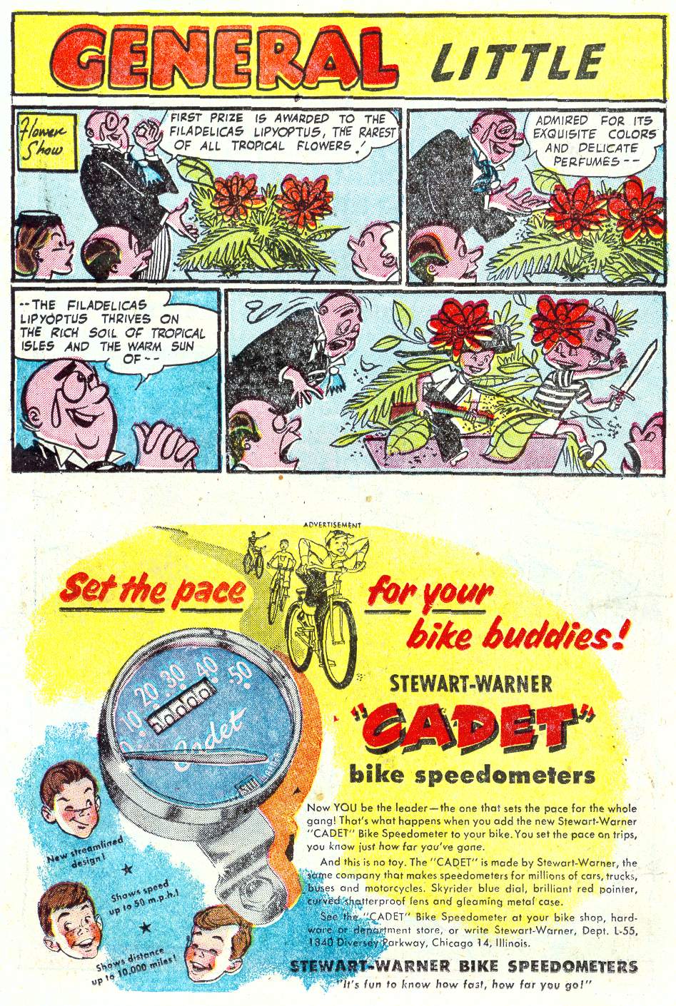 Read online Our Army at War (1952) comic -  Issue #34 - 12