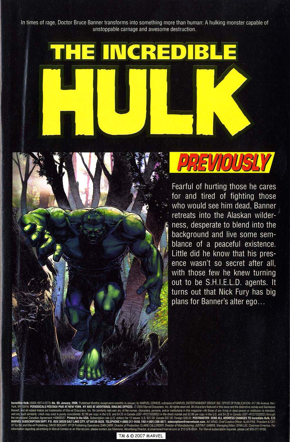 The Incredible Hulk (2000) Issue #89 #78 - English 3