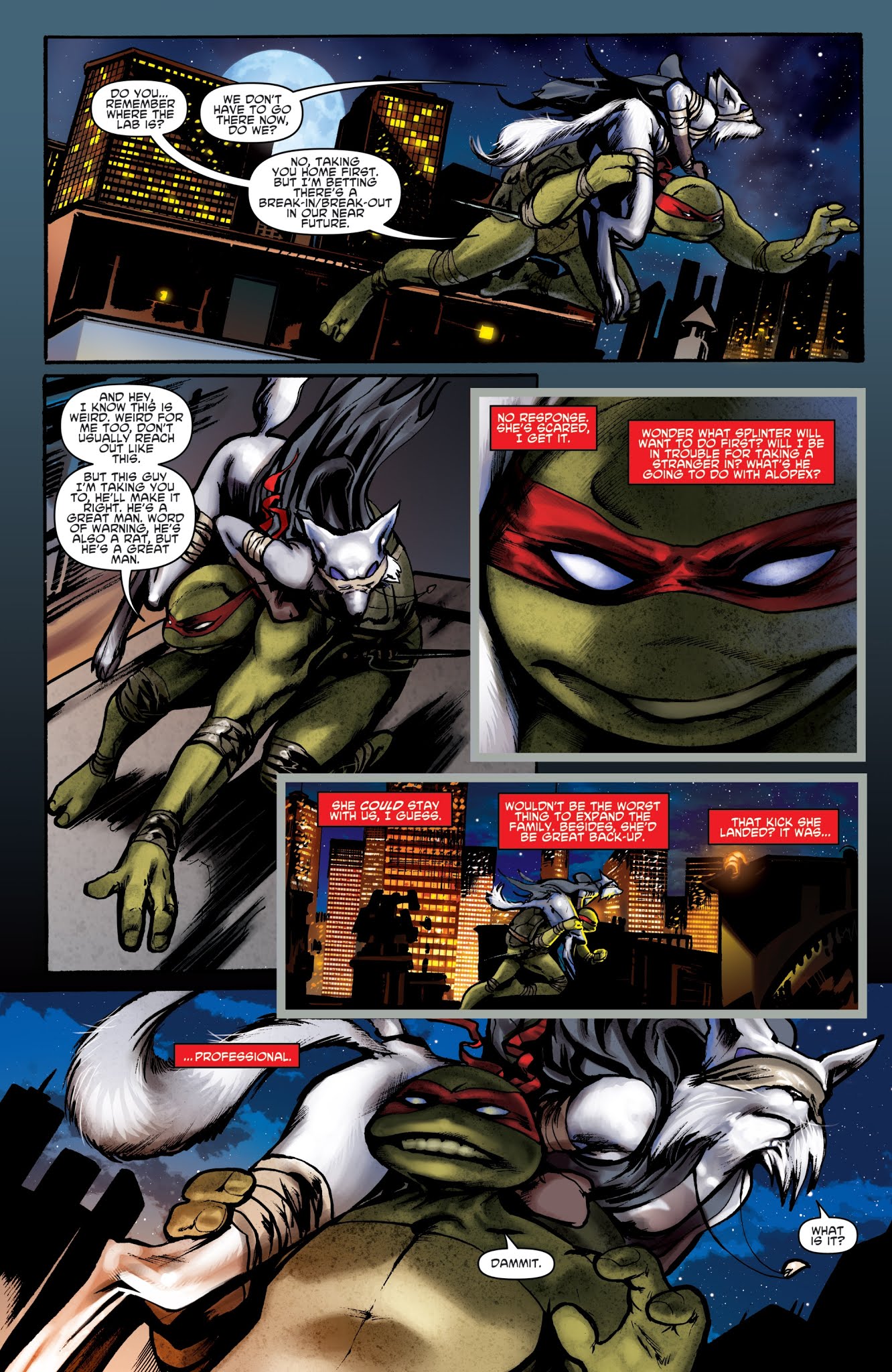 Read online Teenage Mutant Ninja Turtles: The IDW Collection comic -  Issue # TPB 1 (Part 2) - 48