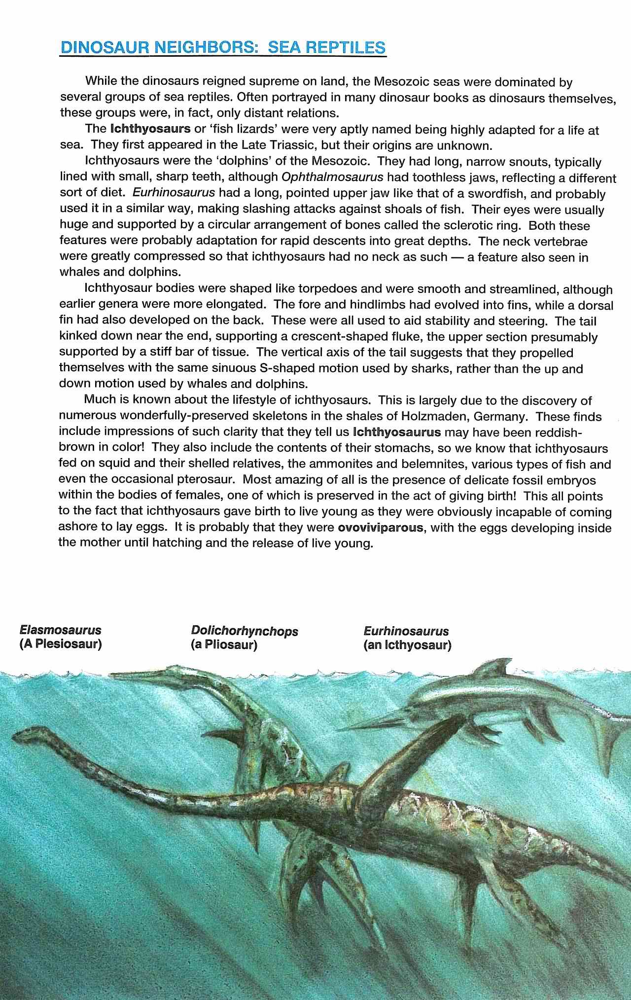 Read online Dinosaurs, A Celebration comic -  Issue #4 - 34