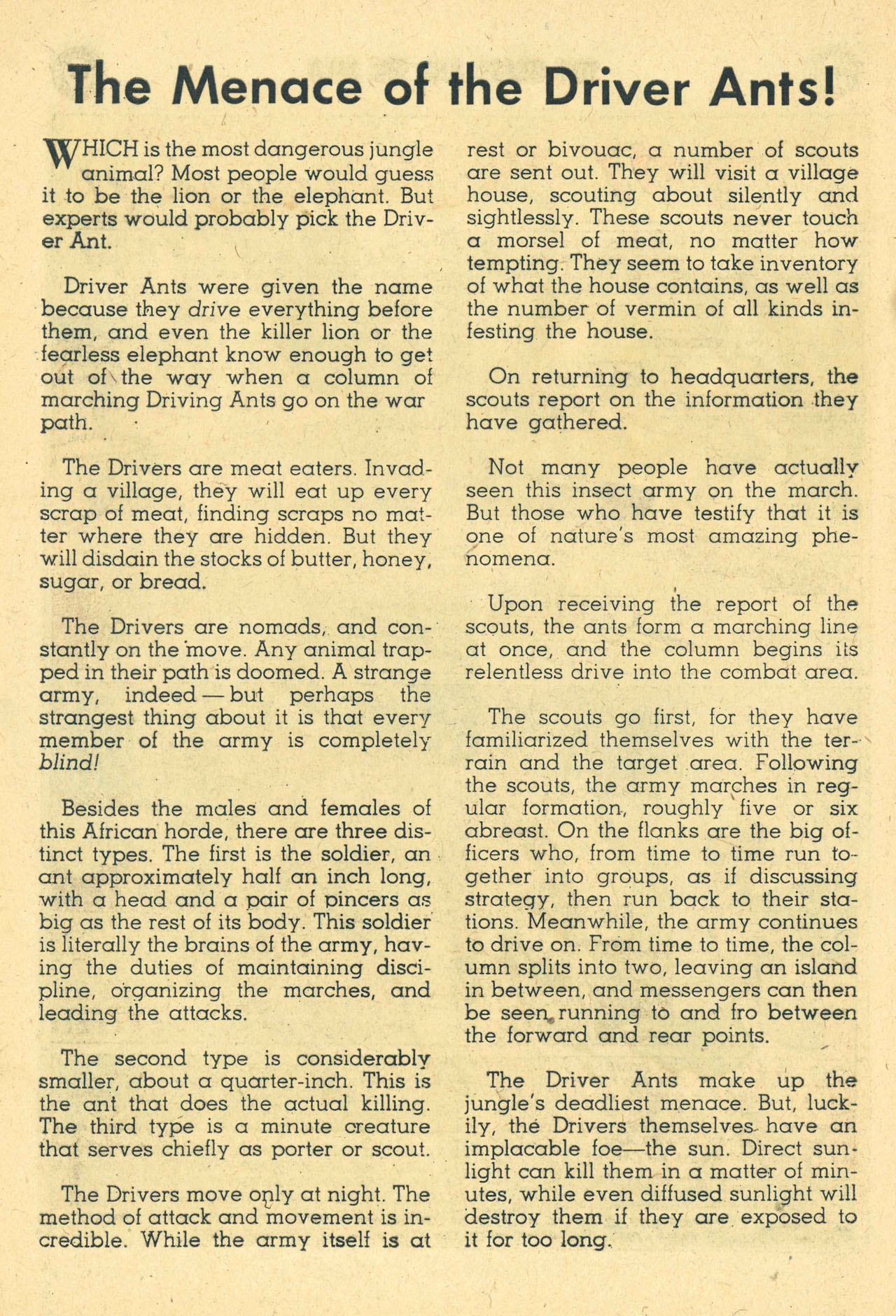 Read online The Brave and the Bold (1955) comic -  Issue #27 - 24