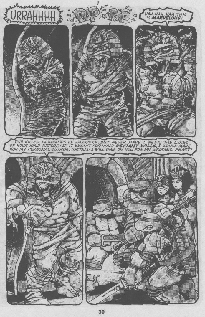 Teenage Mutant Ninja Turtles (1984) Issue #32 #32 - English 39