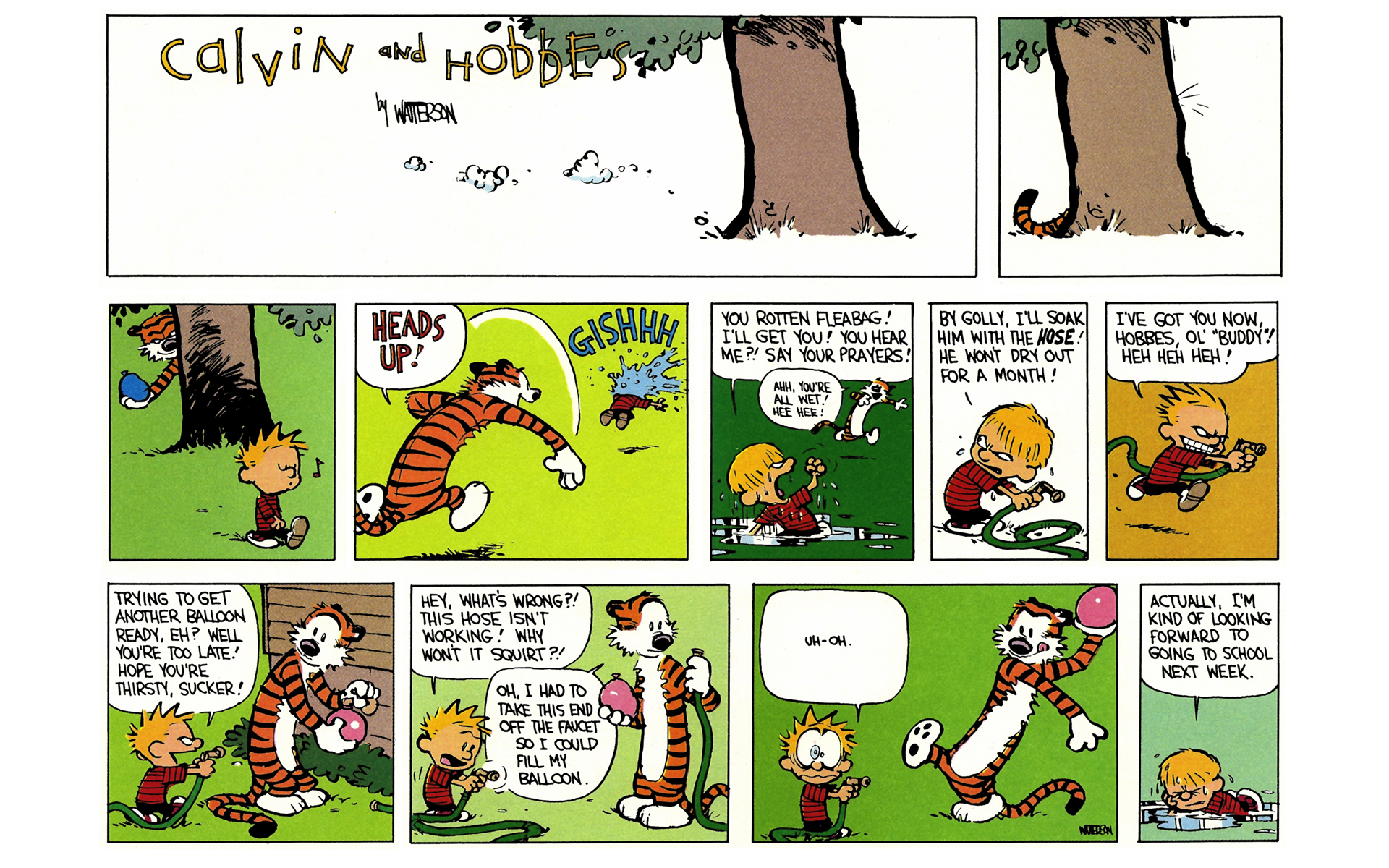 Read online Calvin and Hobbes comic -  Issue #5 - 161