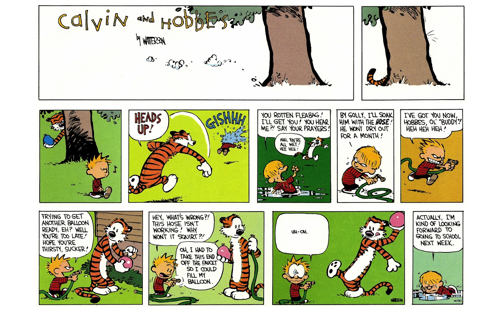 Calvin and Hobbes issue 5 - Page 161