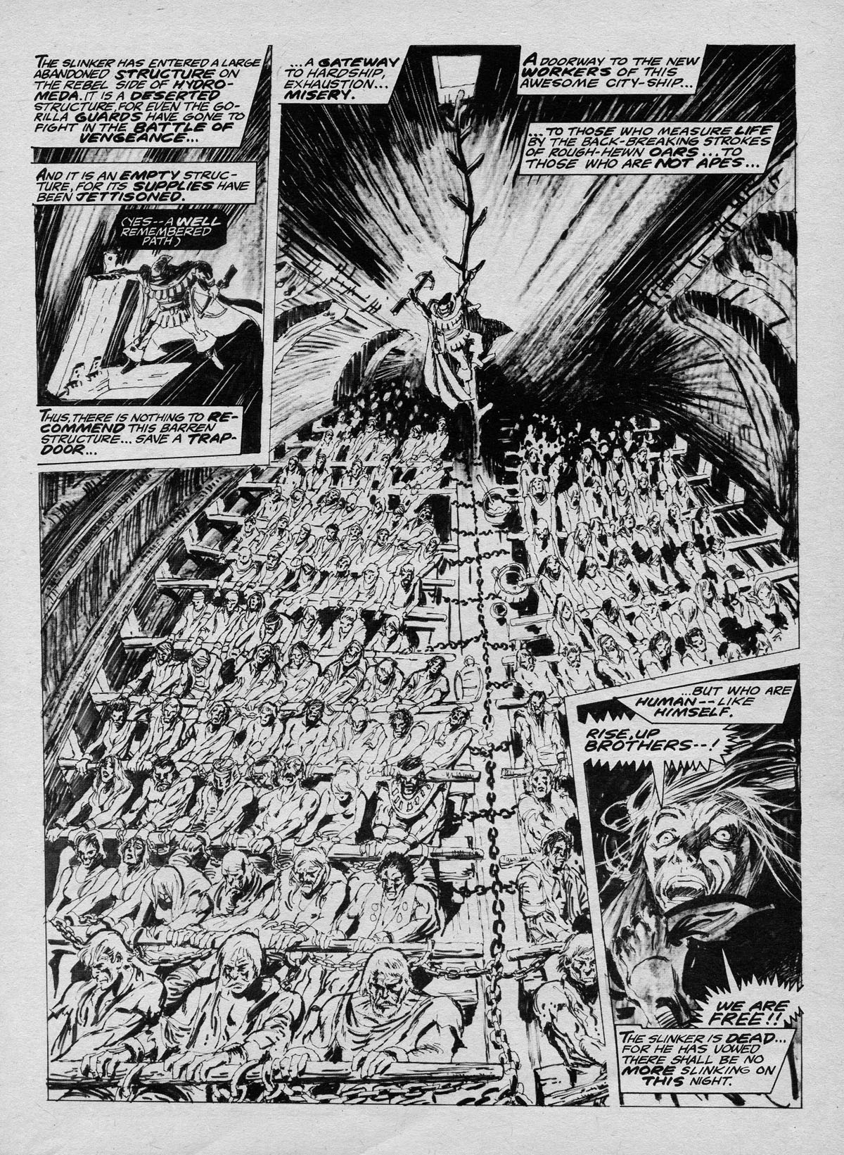 Read online Planet of the Apes comic -  Issue #12 - 27
