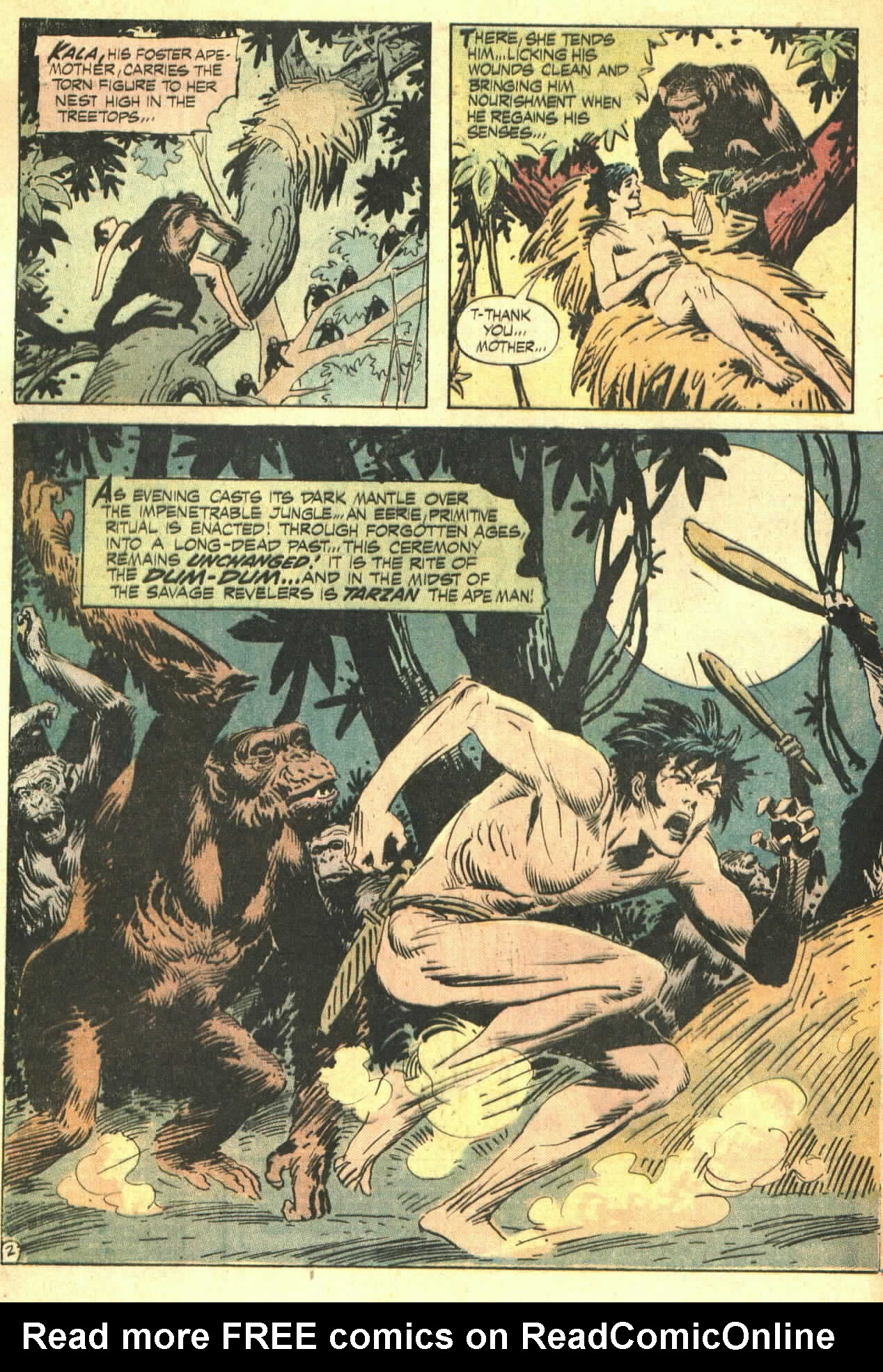Read online Tarzan (1972) comic -  Issue #208 - 3