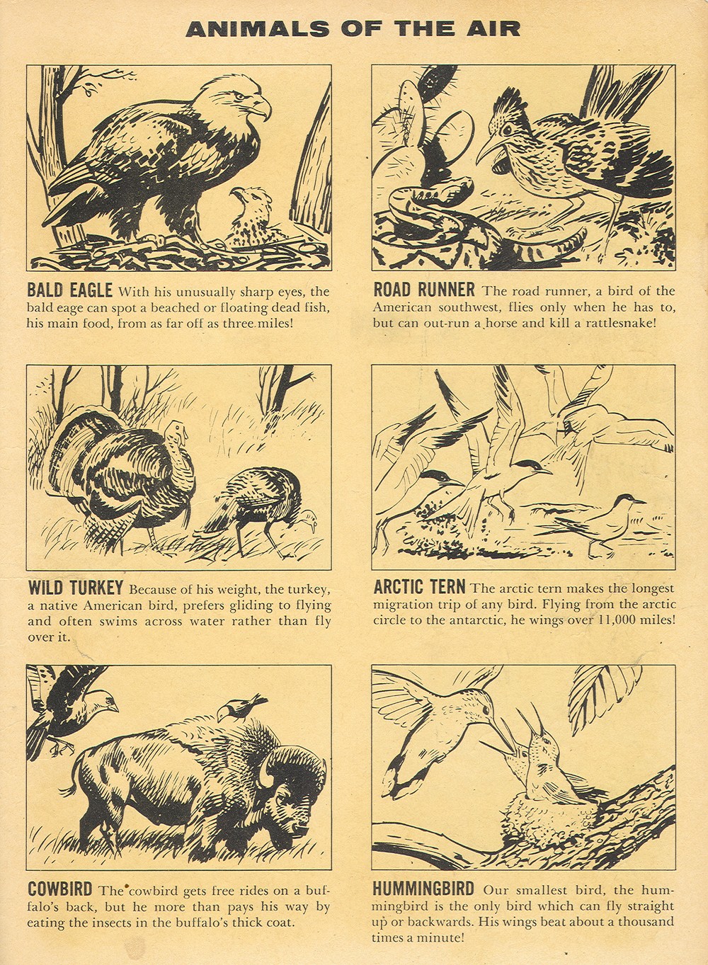 Read online Four Color Comics comic -  Issue #1214 - 35