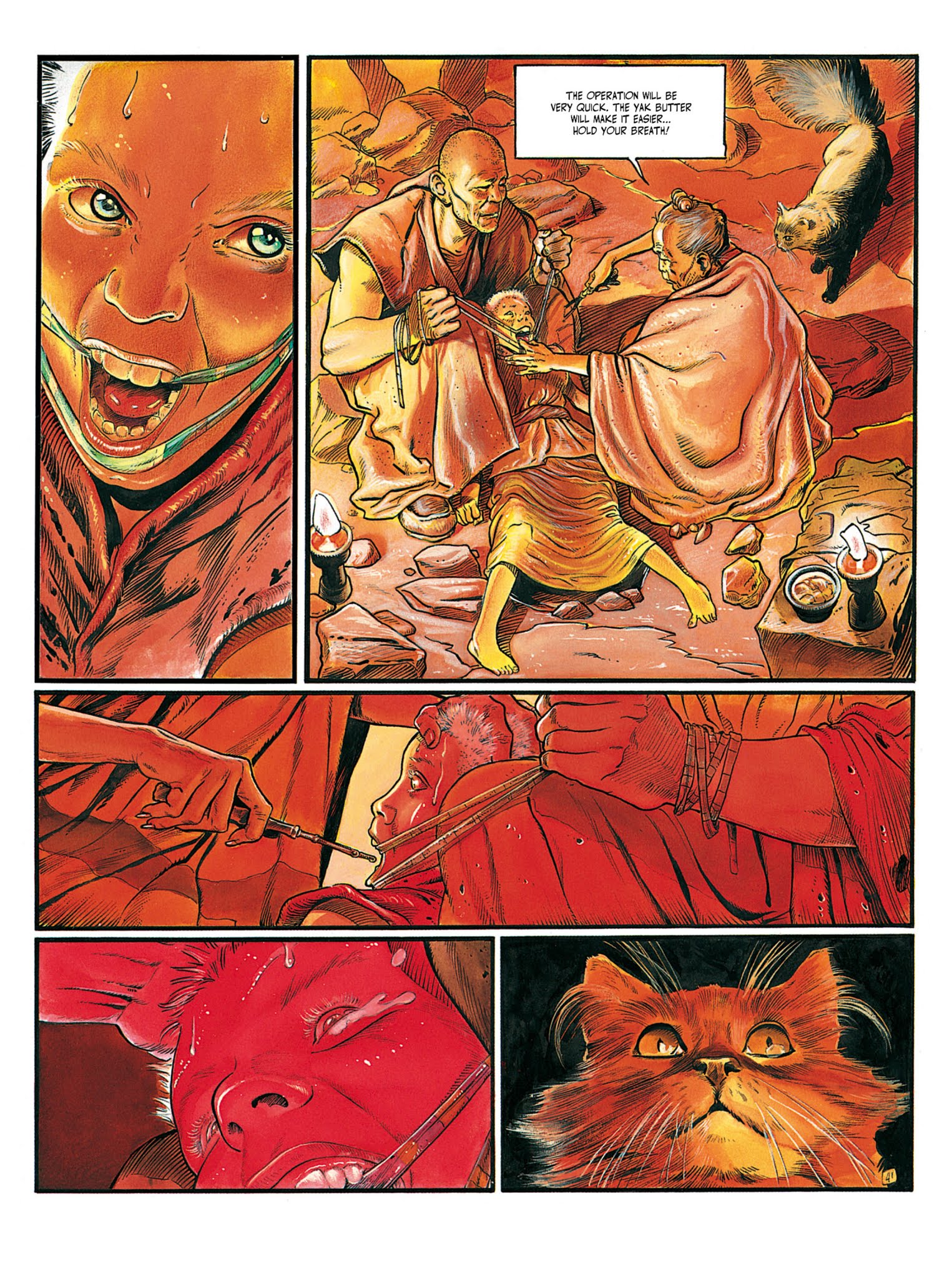Read online The White Lama comic -  Issue #3 - 45
