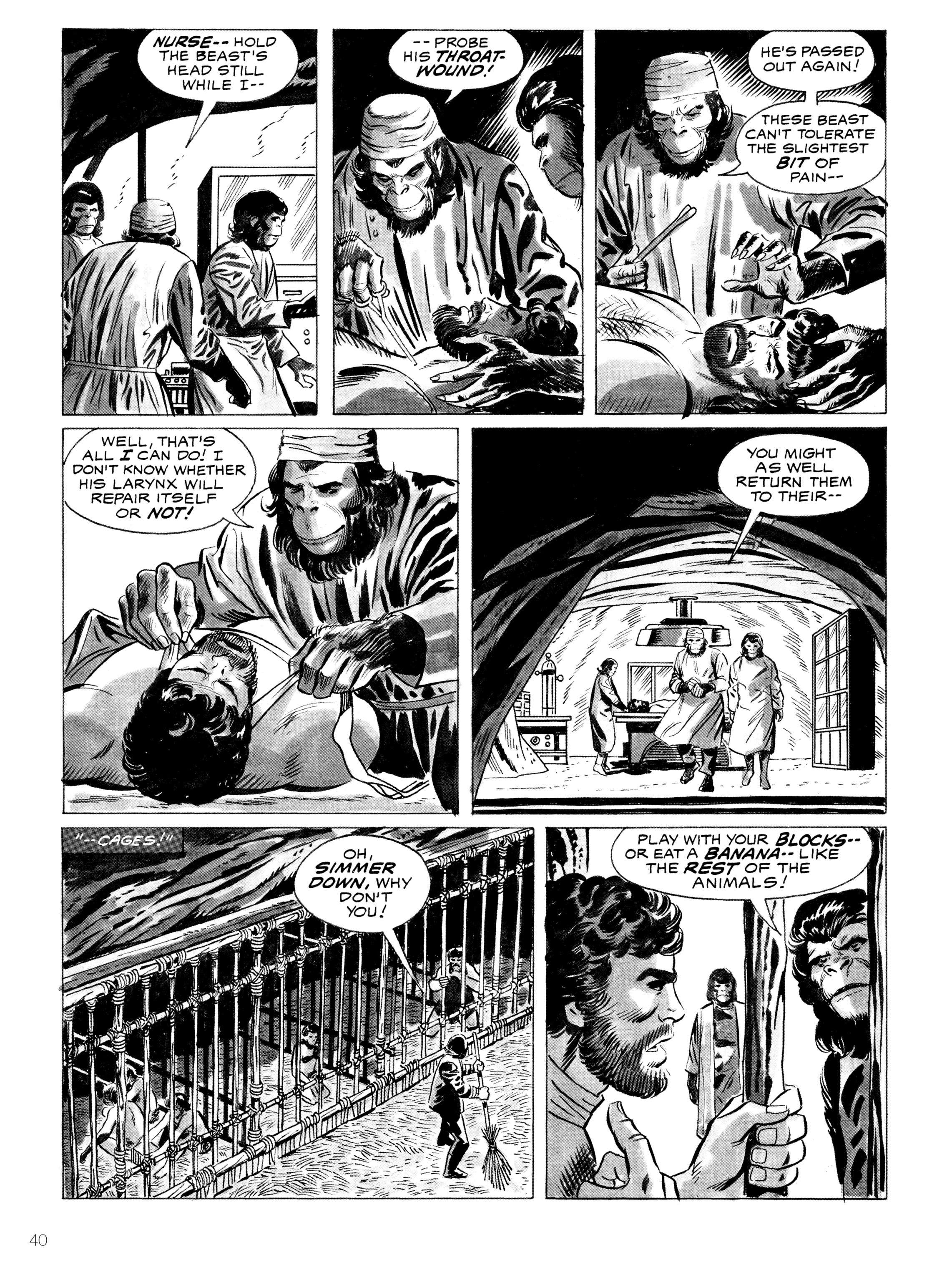 Read online Planet of the Apes: Archive comic -  Issue # TPB 2 (Part 1) - 37