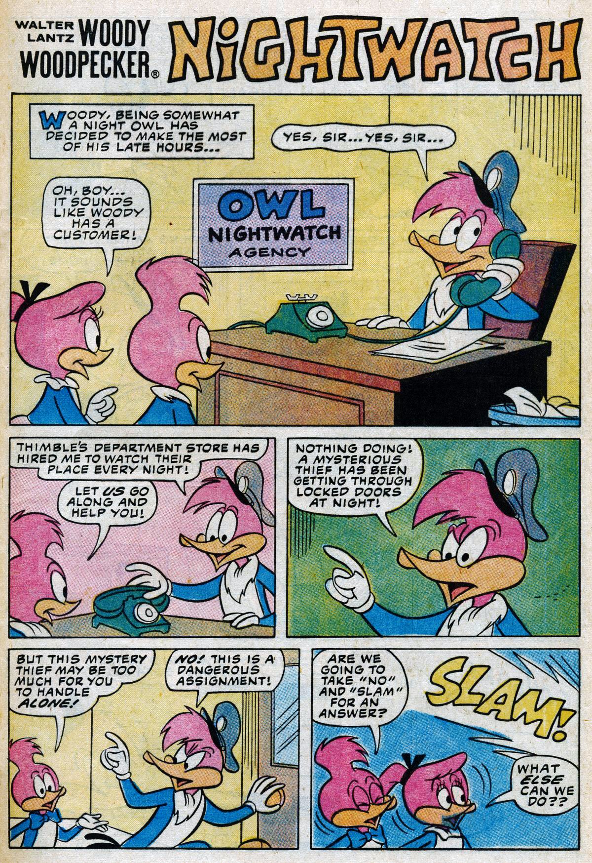 Read online Walter Lantz Woody Woodpecker (1962) comic -  Issue #200 - 21
