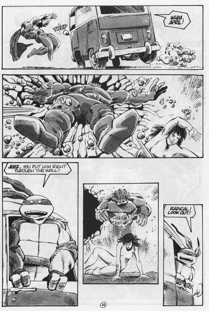 Read online Tales of the Teenage Mutant Ninja Turtles comic -  Issue #5 - 16