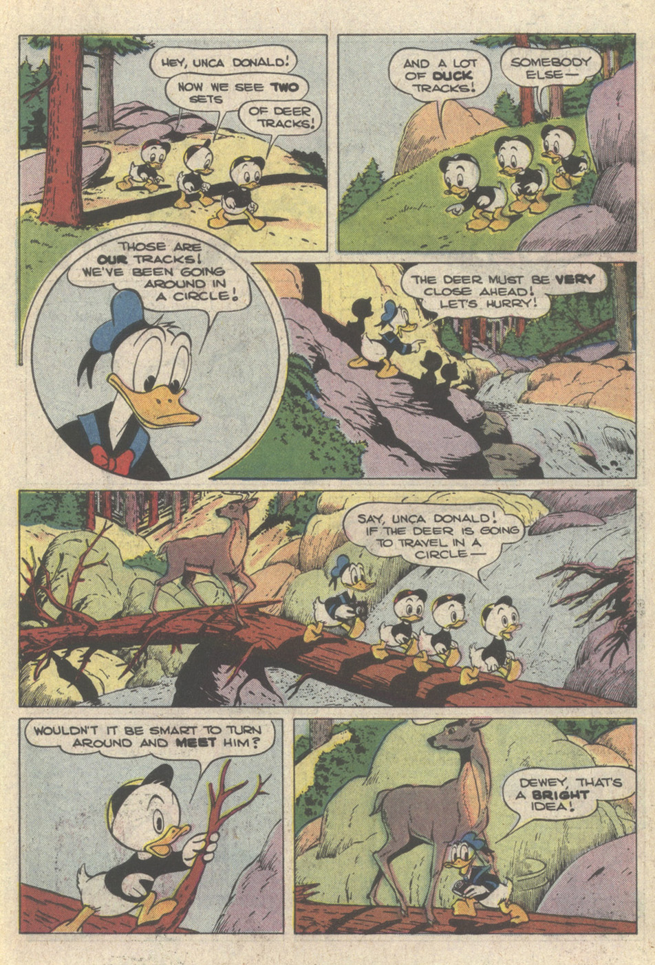 Read online Walt Disney's Donald Duck (1952) comic -  Issue #257 - 19