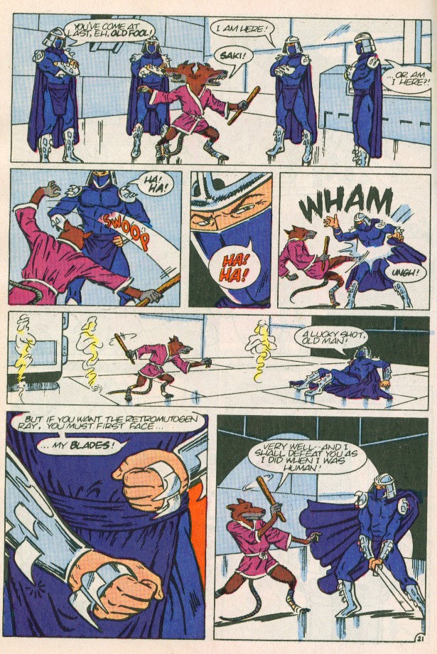 Read online Teenage Mutant Ninja Turtles Adventures (1988) comic -  Issue #3 - 22