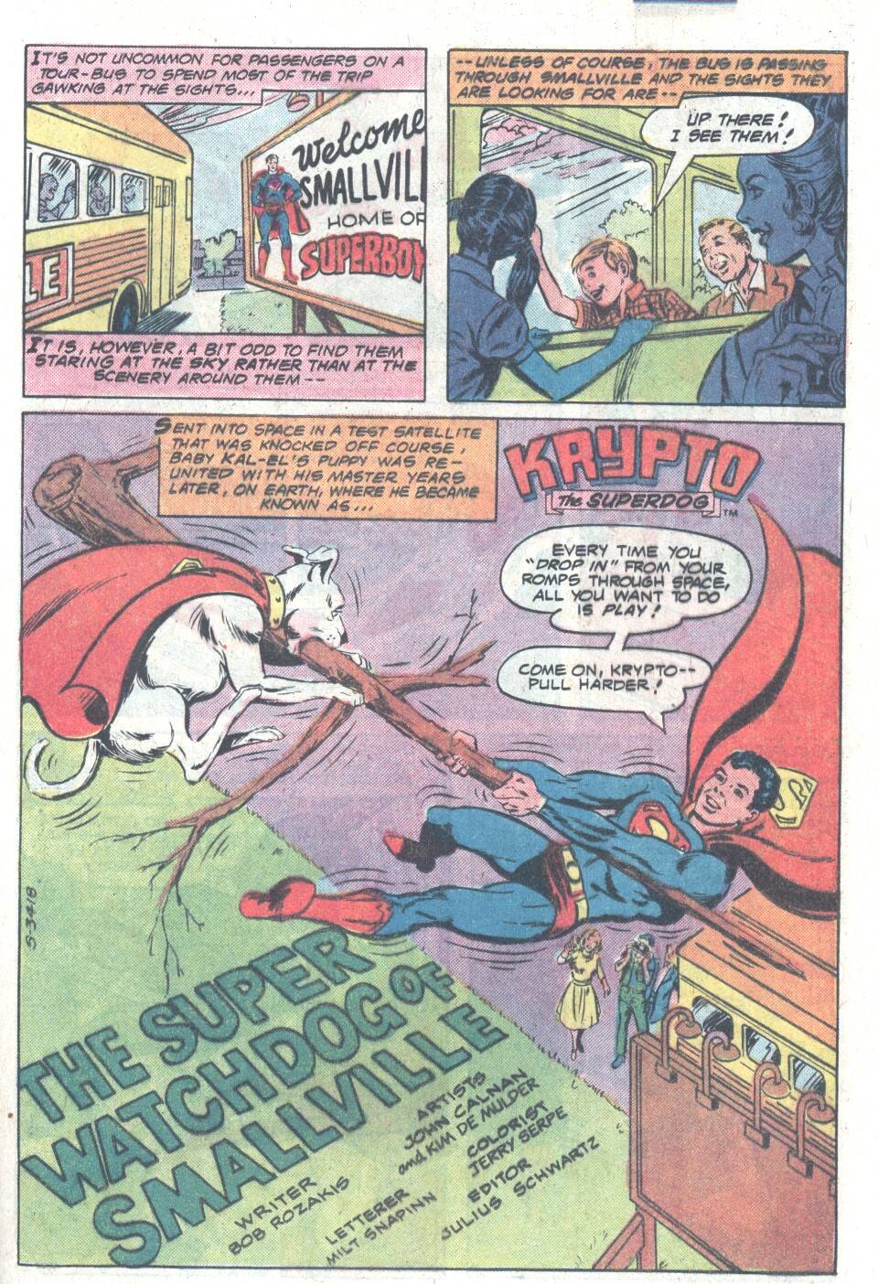 Read online The New Adventures of Superboy comic -  Issue #10 - 19