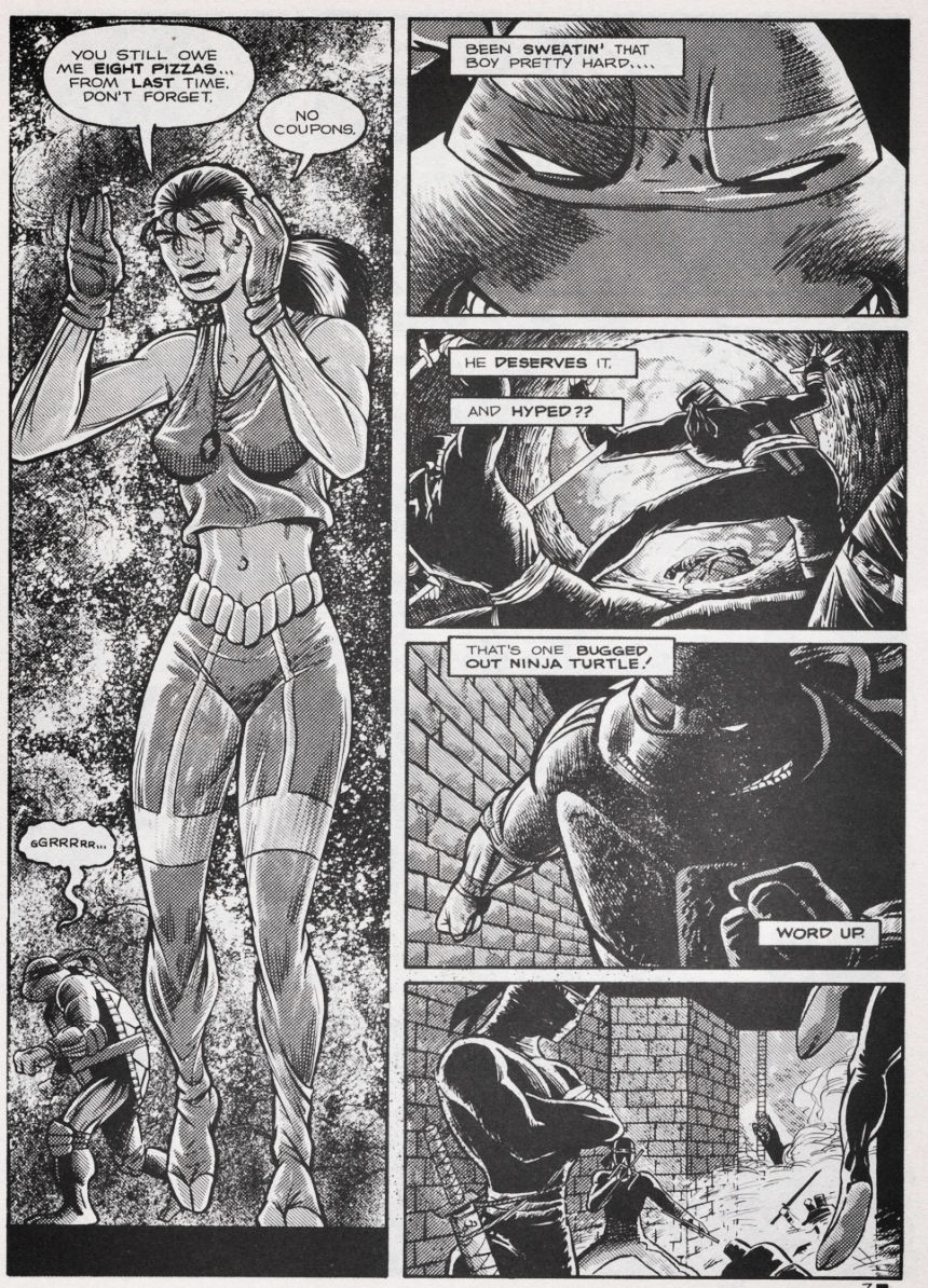Teenage Mutant Ninja Turtles (1984) Issue #44 #44 - English 8