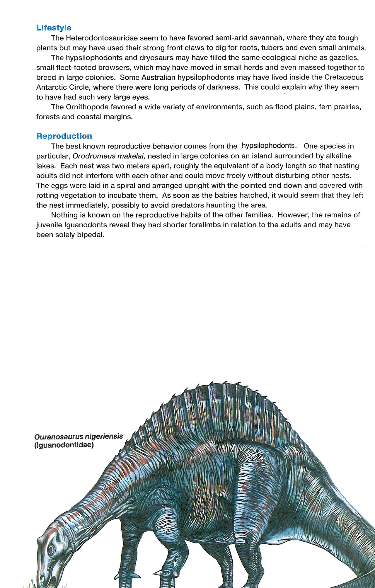 Read online Dinosaurs, A Celebration comic -  Issue #3 - 15