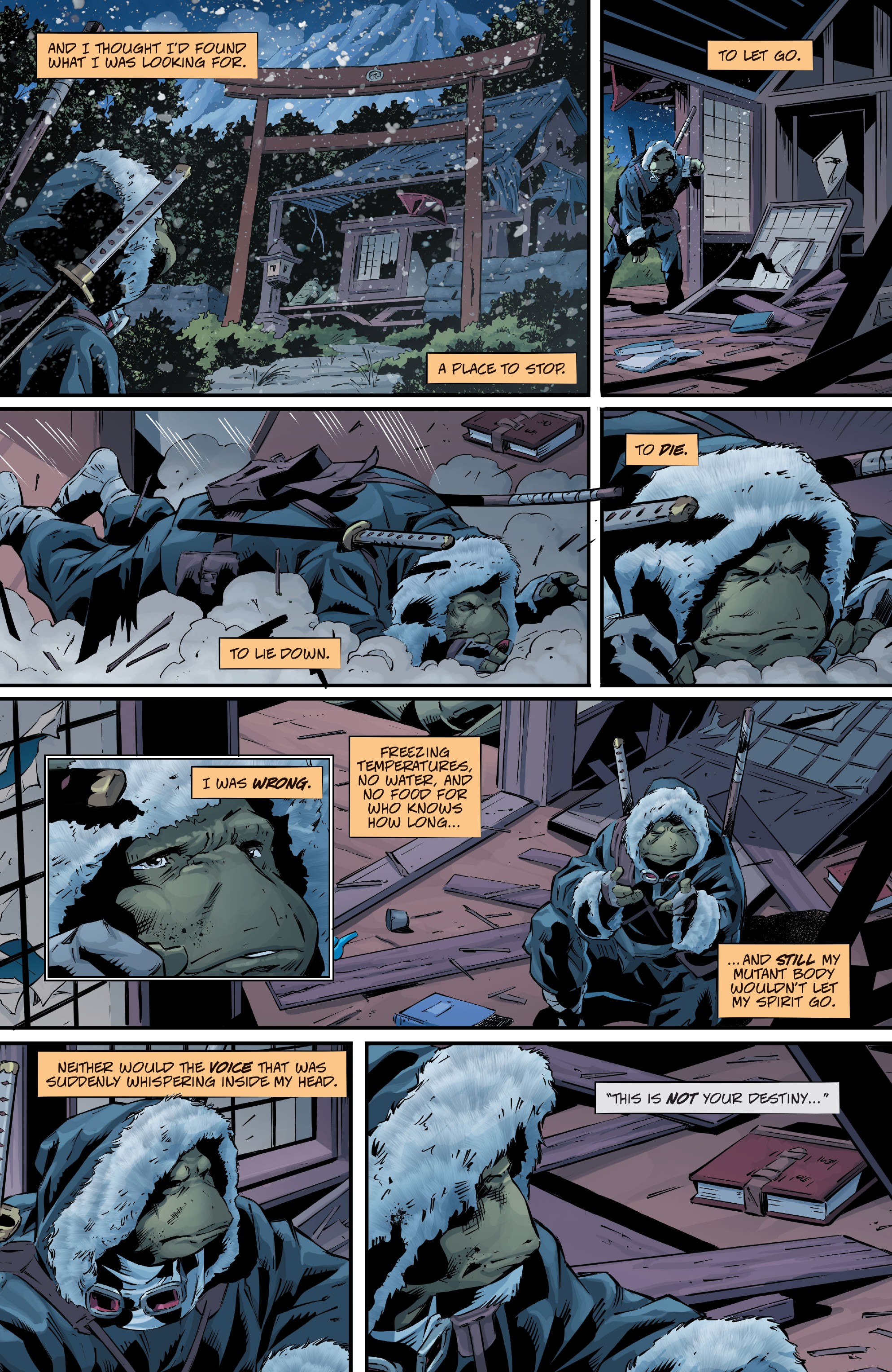 Read online Teenage Mutant Ninja Turtles: The Last Ronin - The Lost Years comic -  Issue #1 - 12