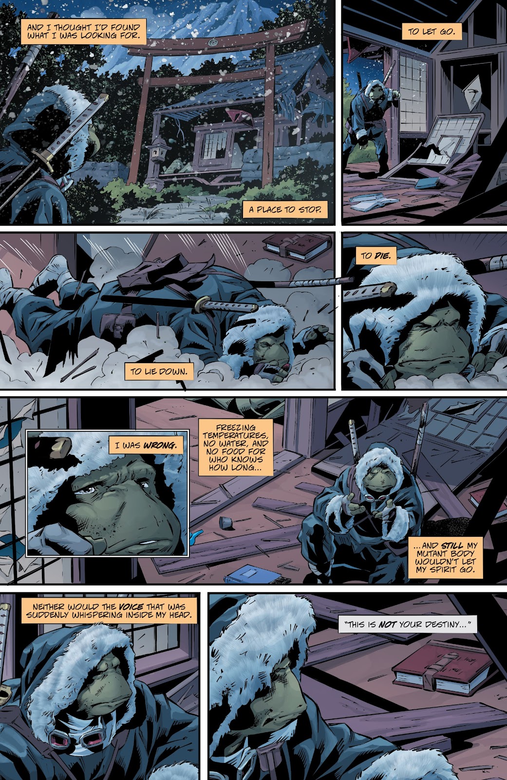 Teenage Mutant Ninja Turtles: The Last Ronin - The Lost Years issue 1 - Page 12