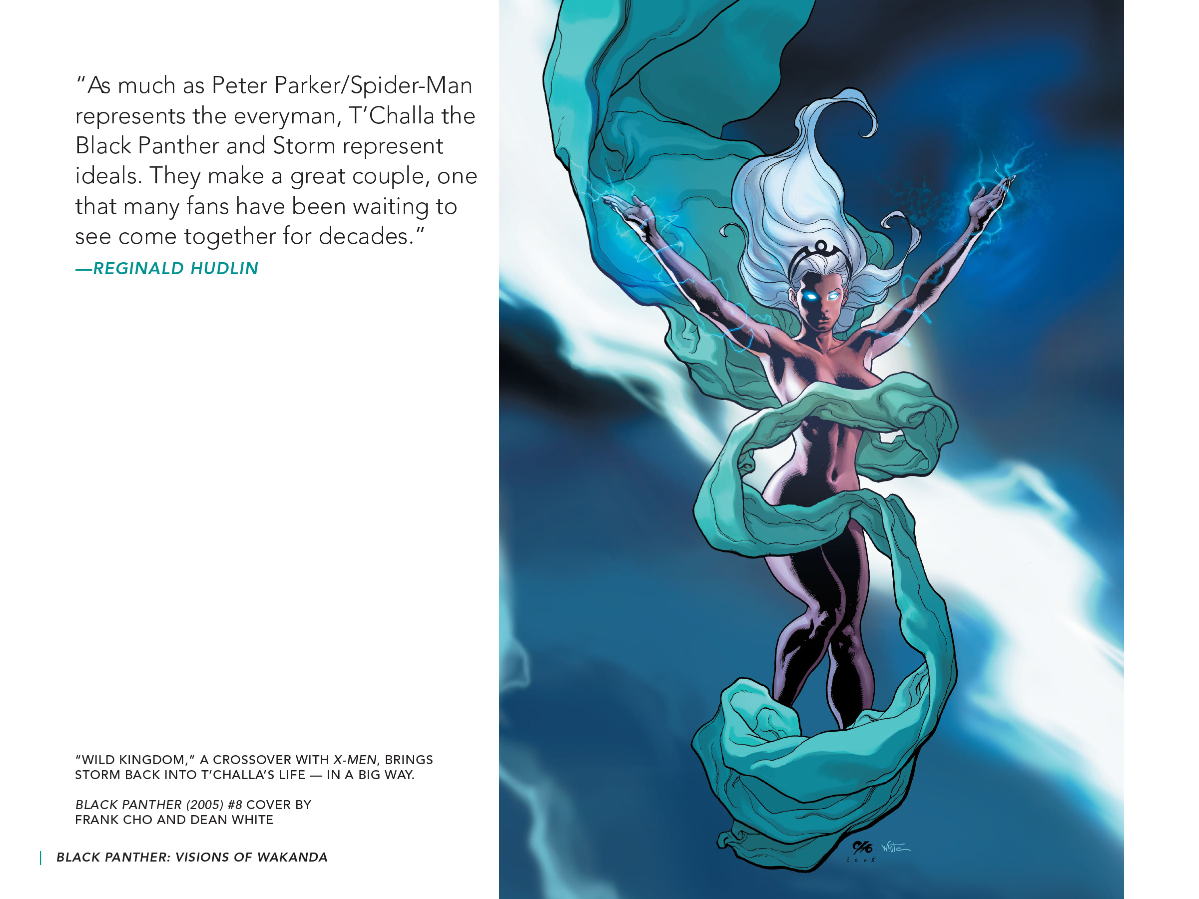 Read online Black Panther: Visions of Wakanda comic -  Issue # TPB (Part 2) - 100