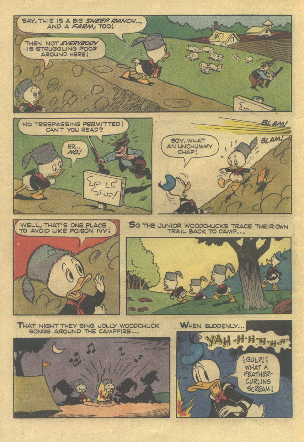 Read online Huey, Dewey, and Louie Junior Woodchucks comic -  Issue #18 - 10