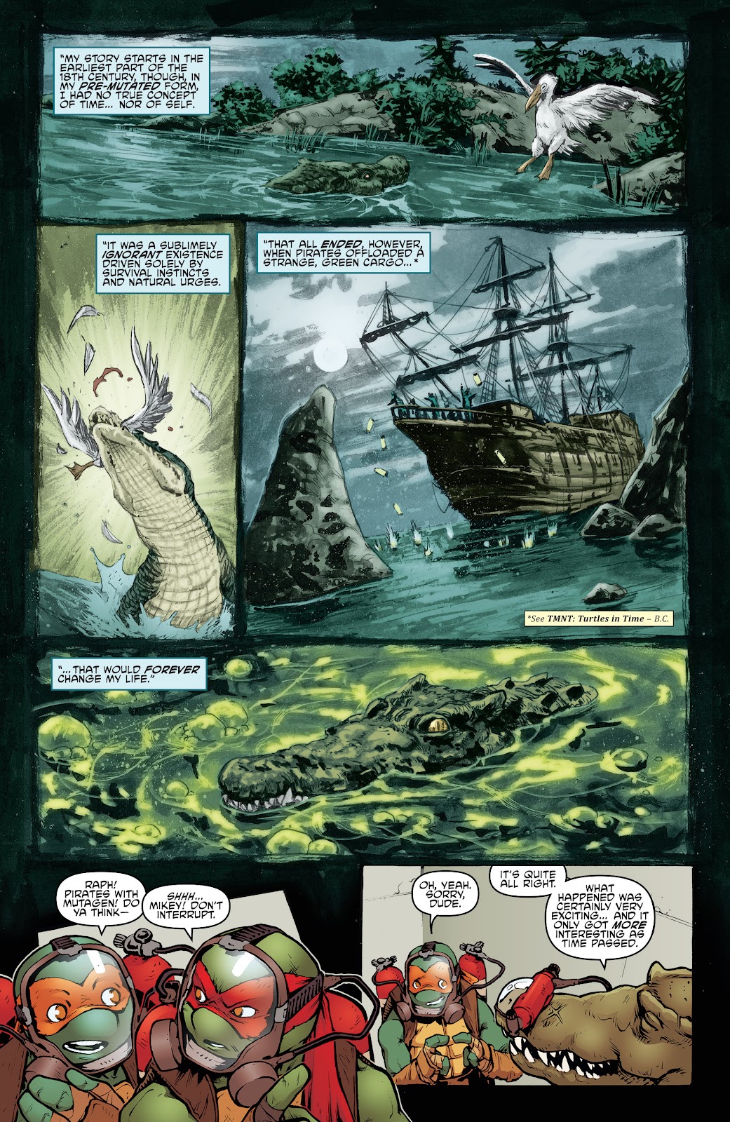 Teenage Mutant Ninja Turtles (2011) issue 56 - Page 13